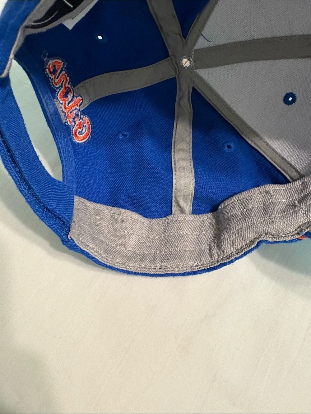 Nike Drifit University of Florida hat/ cap Gators